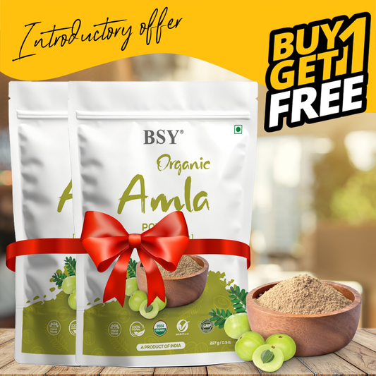 BSY Organic Amla Powder