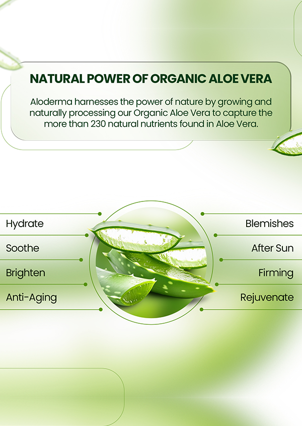 BSY Aloe Vera Gel