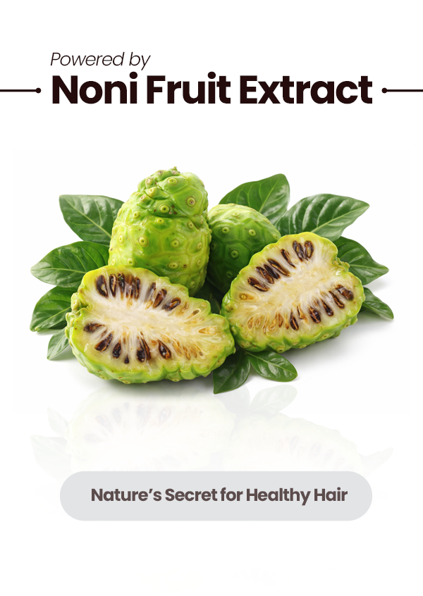 BSY Noni Hair Colour Shampoo 20ml (Dark Brown Colour)