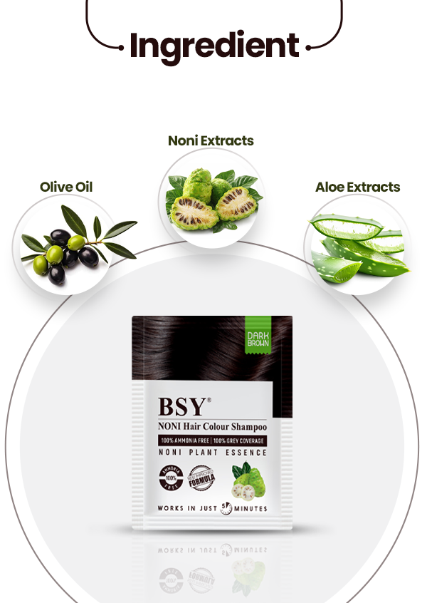 BSY Noni Hair Colour Shampoo 20ml (Dark Brown Colour)